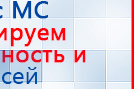 Аппарат магнитотерапии АМТ «Вега Плюс» купить в Благовещенске, Аппараты Меркурий купить в Благовещенске, Скэнар официальный сайт - denasvertebra.ru